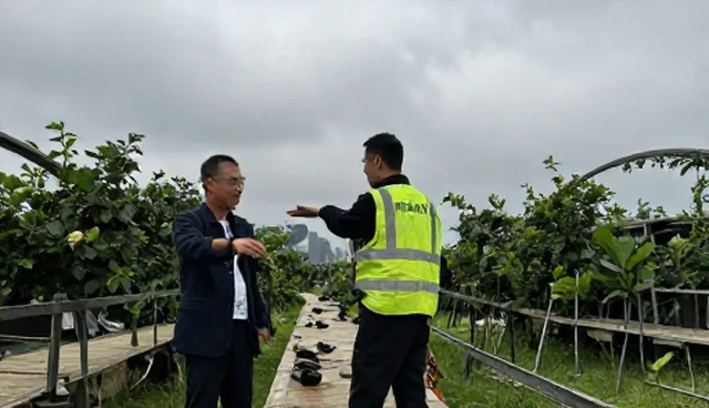 供需自动匹配产品的适用条件与检查要点